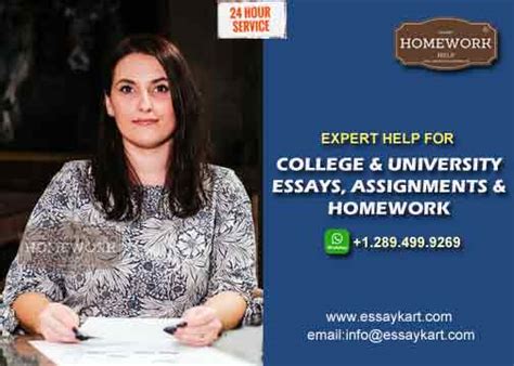 assignment help|24 hours assignment help.